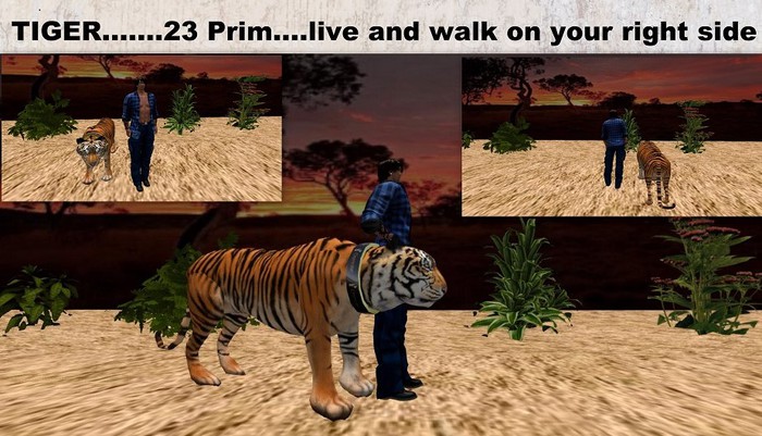 TIGER, lebt und geht neben dir, 23 Prim, ,copy und  transfer