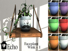 Echo - Faceplant - Wink - 1 