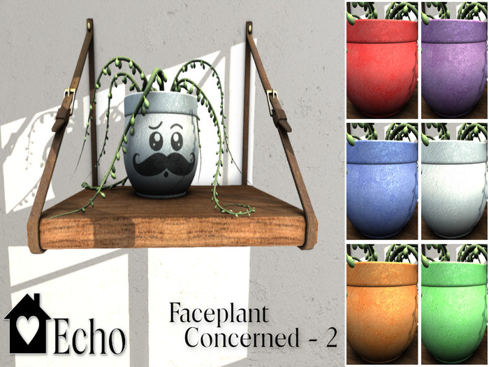 Echo - Faceplant - Concerned - 2 - Box