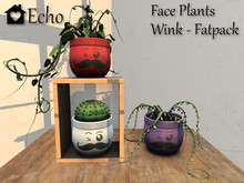 Echo - Faceplant - Wink - Fatpack - Box