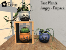 Echo - Faceplant - Angry - Fatpack - Box