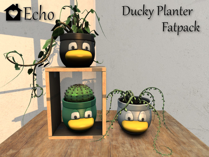 Echo - Ducky Planter - Fatpack - Box