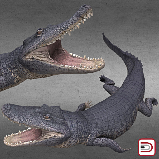 [Danielito] Brachychampsa Crocodile