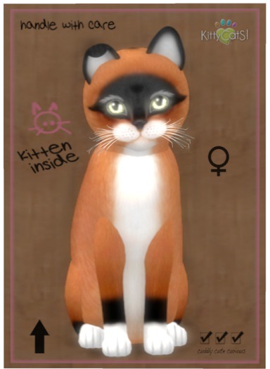 KittyCatS Box - Foxie - Red Mask