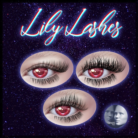 -bus- -.Lily Lashes.- {GENUS}
