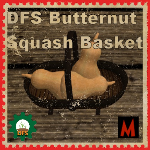 DFS Butternut Squash Basket