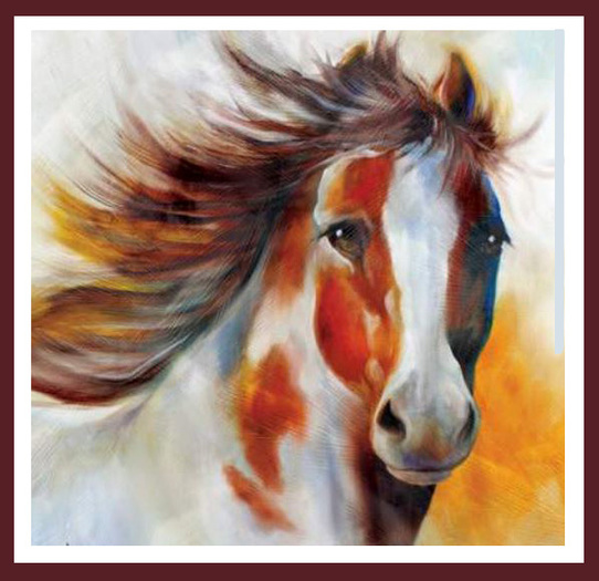 Horse Portrait