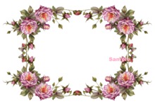 Pink Rose Vine Texture.png CM