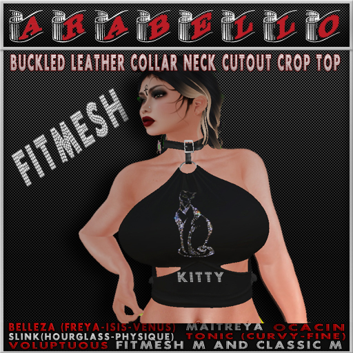 .:Arabello:. Kitty  Cutout Crop Top