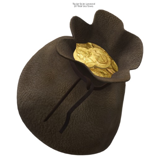 Gold Bag tipjar