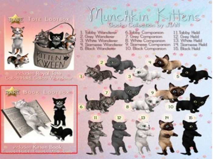 JIAN Munchkin Kittens :: Book Lootcrate RARE