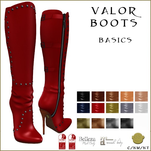 BM Valor Boots Basics DEMO