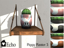 Echo - Piggy Planter - 3 