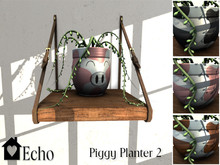 Echo - Piggy Planter - 2 