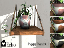 Echo - Piggy Planter - 1 