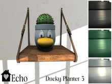 Echo - Ducky Planter - 3 