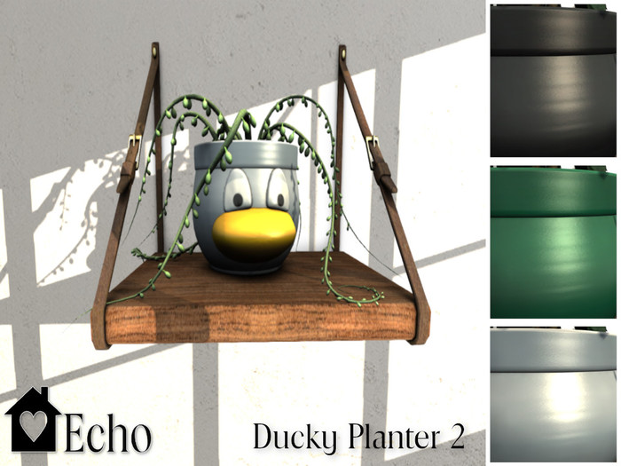 Echo - Ducky Planter - 2