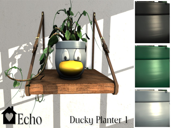 Echo - Ducky Planter - 1 
