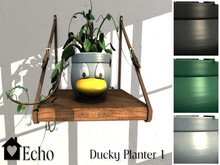 Echo - Ducky Planter - 1 
