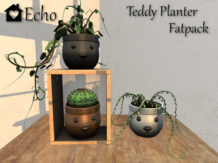 Echo - Teddy Planter - Fatpack