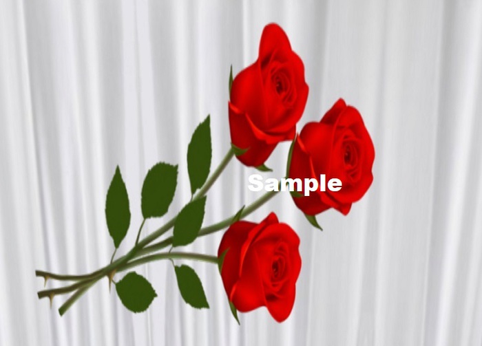 Red Rose Texture.png CM