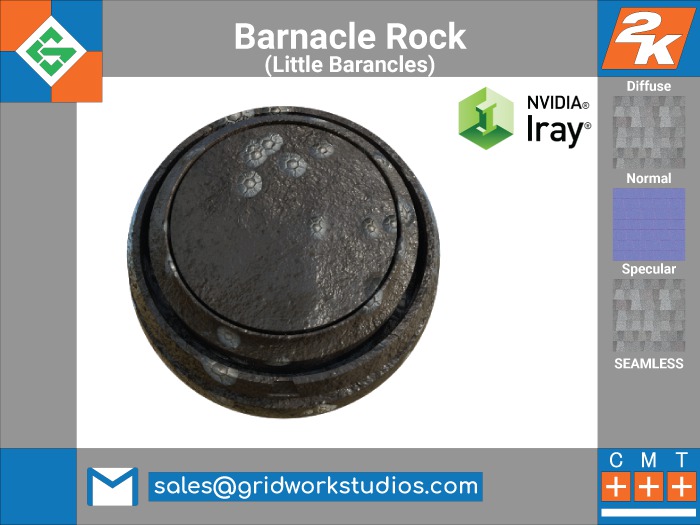 Textures: Barnacle Rock(Little Barnacles)