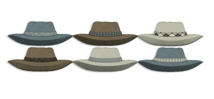 [MUSE] Western Hat Hud - V6 pkg Hud