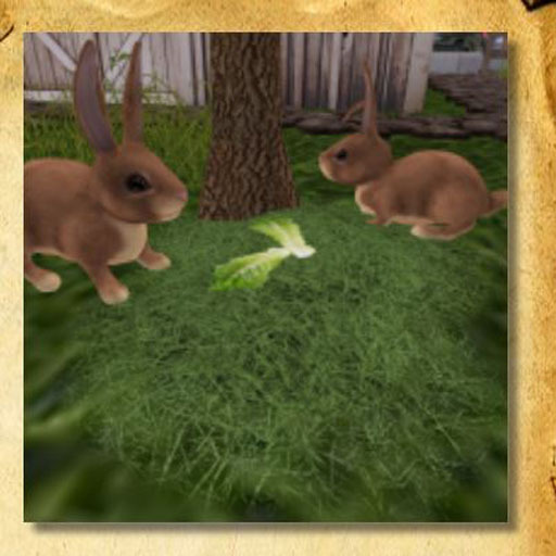 DFS RABBIT FOOD 300 X5