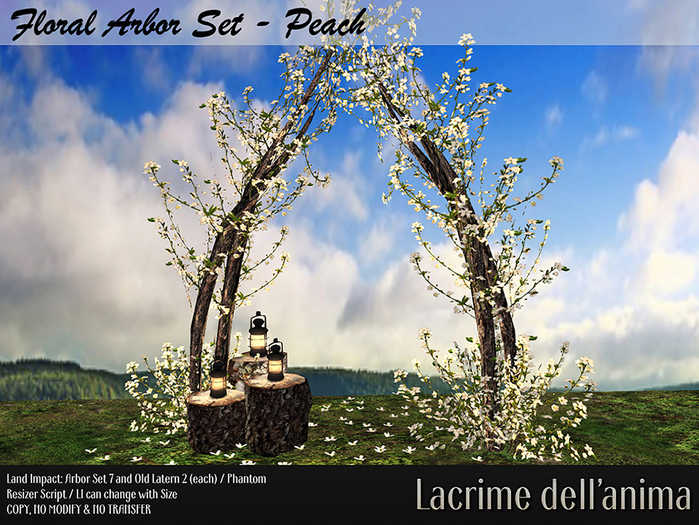 (BOX) Floral Arbor Set - Peach