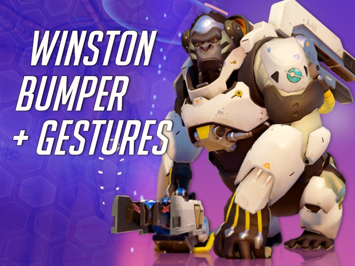 Winston Bumper + Gestures