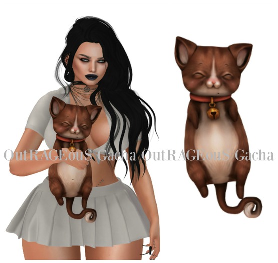 Birdy - Animated Chibi Kitty - Ginger