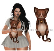 Birdy - Animated Chibi Kitty - Ginger