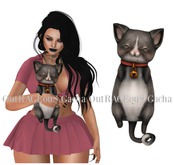 Birdy - Animated Chibi Kitty - Grey