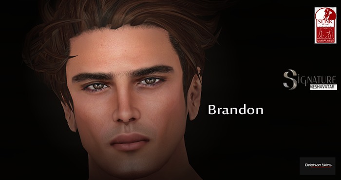 JOAQUIN - BRANDON FATPACK SKINS