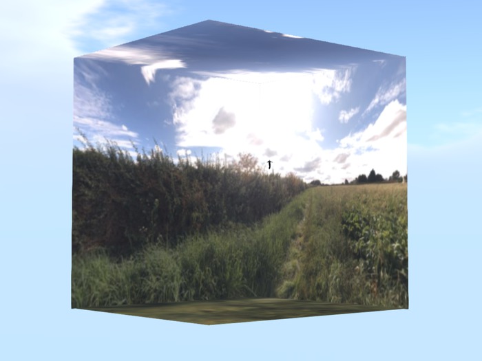 Property Surround Scenery - farm field