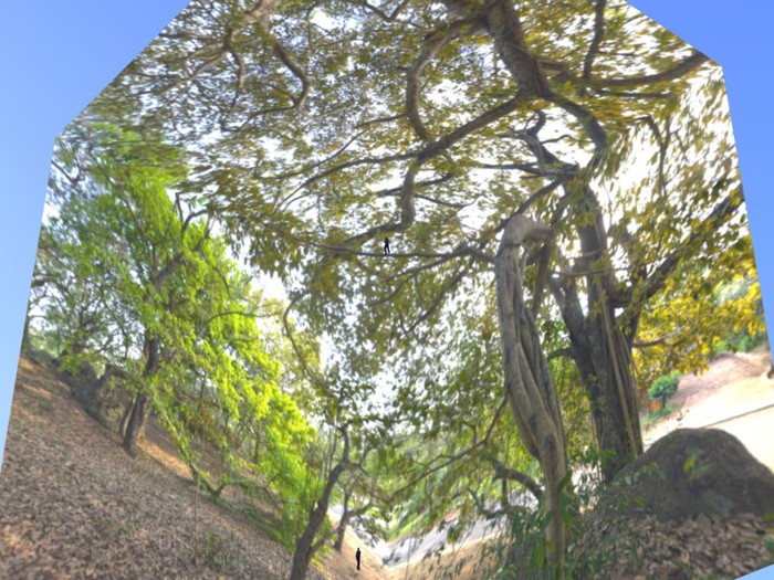 Property Surround Scenery - leafy knoll