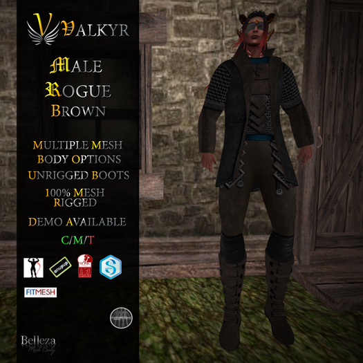 *Valkyr* Male Rogue Brown