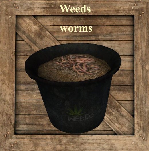 WEEDS - worms - storage vendor crate texture bc