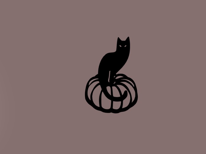lonely cat with pumpkin Halloween