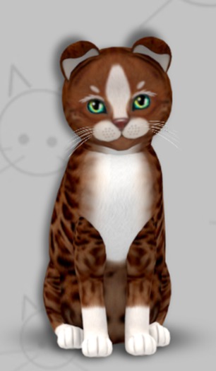 KittyCatS Box - Genesis Ginger II/3T/Male/Exotic Seas/Stubby