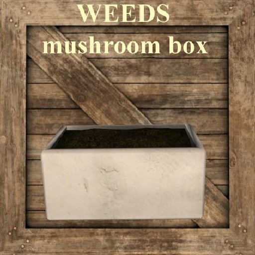 WEEDS - mushroom box - storage vendor crate texture bc