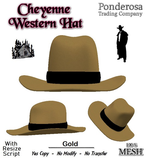 Cheyenne Western Hat [MESH] Gold