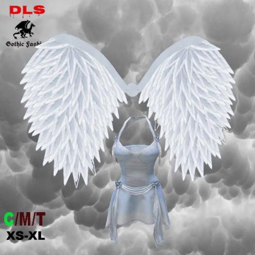 Angel Costume boxed