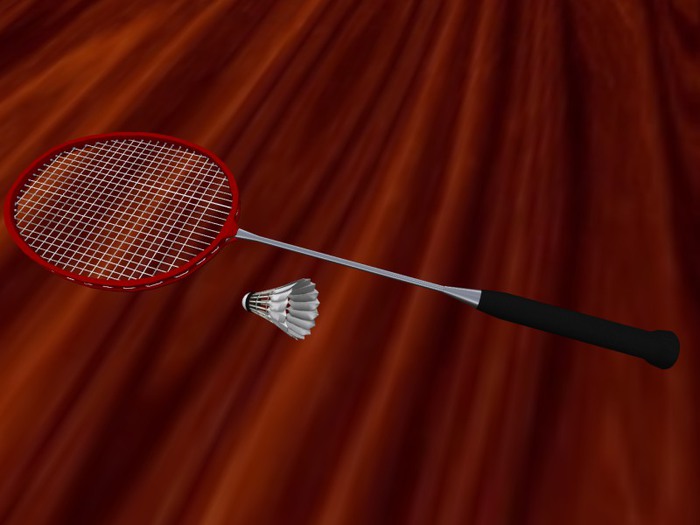 TM Badminton Racket