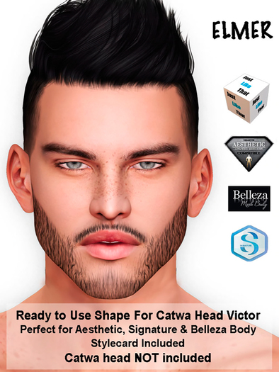 [JLT] - ELMER CATWA VICTOR SHAPE AESTHETIC SIGNAT & BELLEZA