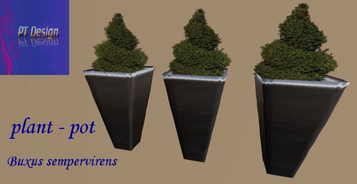 plant - pot