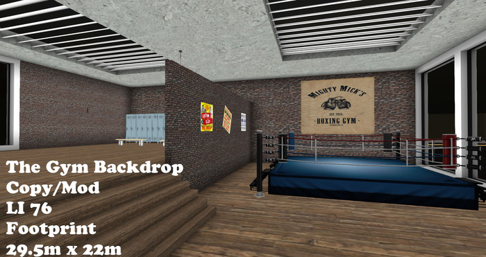The Gym Backdrop (Boxed)