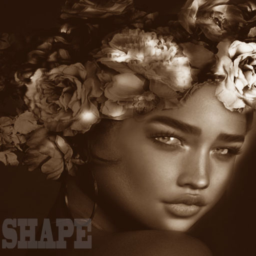 Noemy Shop Rosy Shape