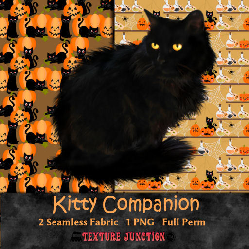 ~TJ~  Kitty Companion Texture Set - Halloween Witch