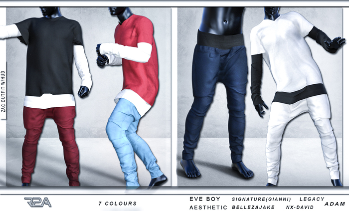 R2A ZAC OUTFIT W/HUD